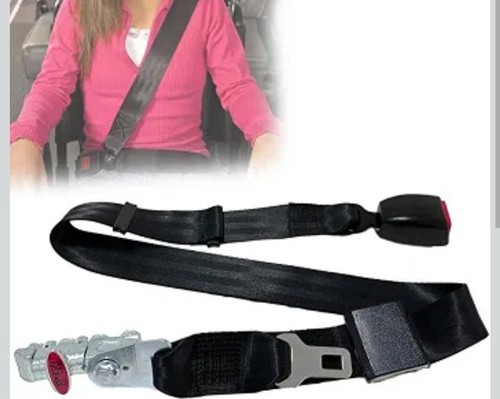 Wheelchair tie down seat - wheelchair,